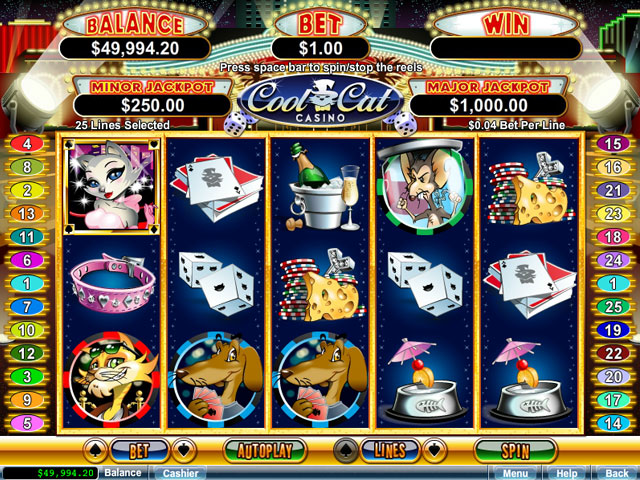 Coolcat casino review gambling online roulette yourbestonlinecasino com